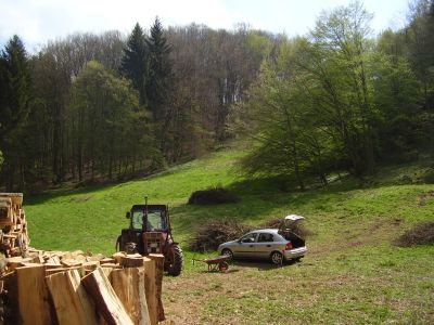 7-am Rotenberg-Einoedertal_6_400